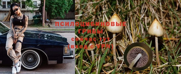 шишки Пенза