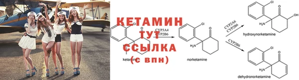 бошки Лагань