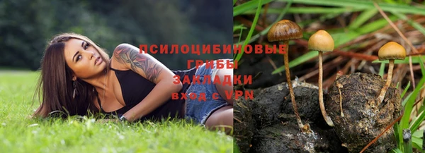 шишки Пенза