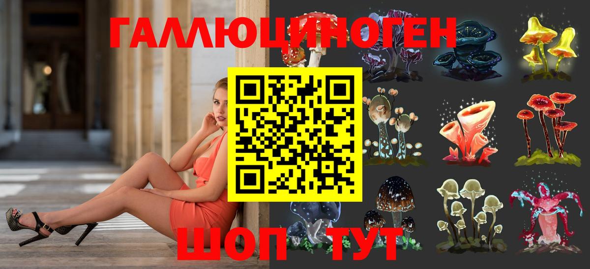 купить закладку  Псилоцибиновые грибы Psilocybine cubensis  Вход с VPN  Заинск 