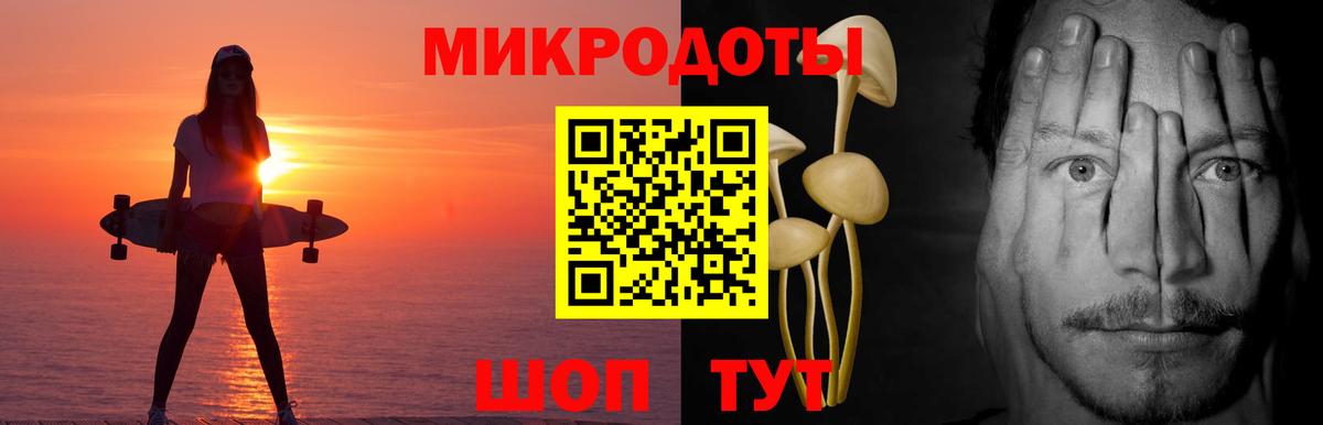 Псилоцибиновые грибы Psilocybine cubensis Заинск